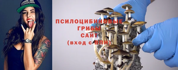 Альфа ПВП Алзамай