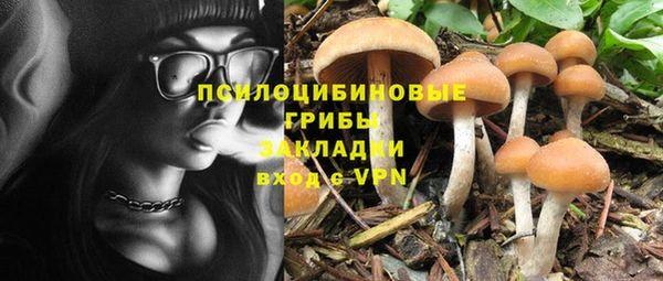 ешки Алексеевка