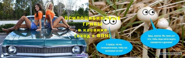 ешки Алексеевка