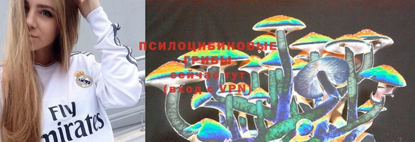 Альфа ПВП Алзамай