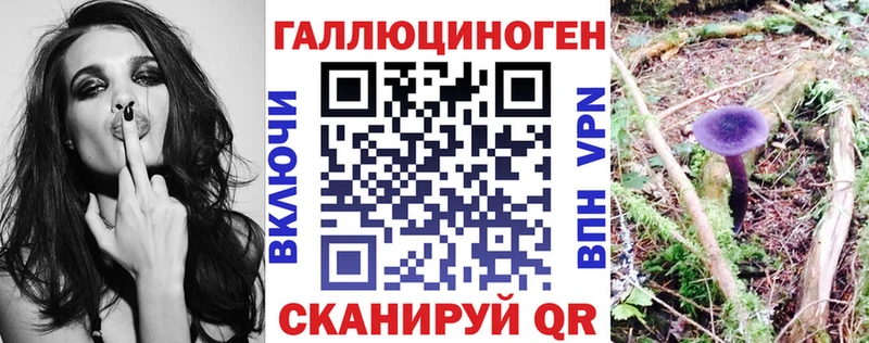 где купить Большой Камень kraken ONION Псилоцибиновые грибы GOLDEN TEACHER