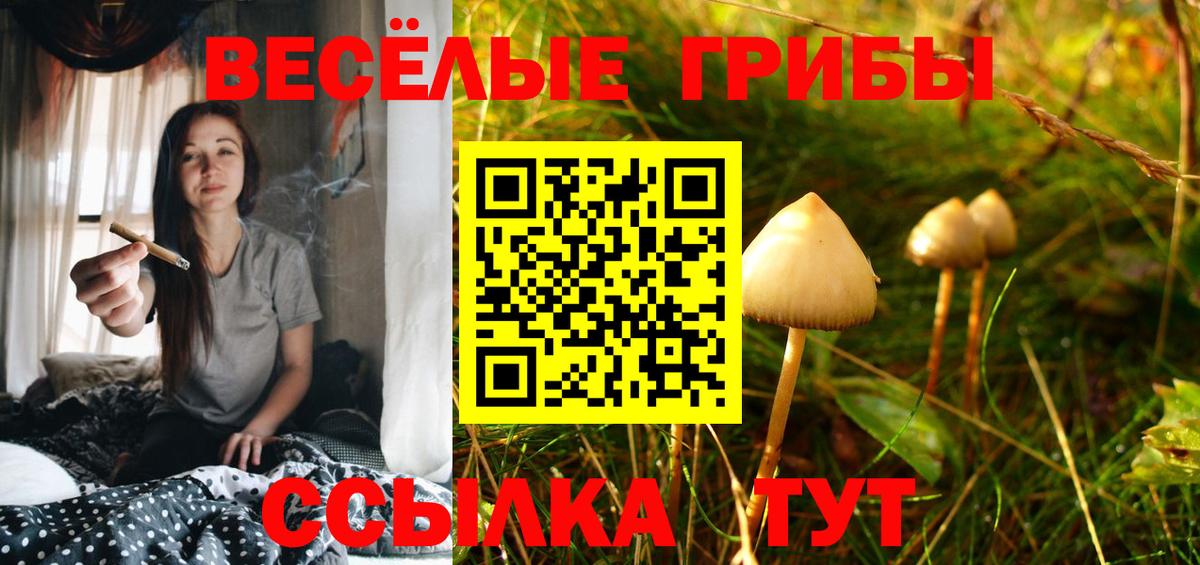 Галлюциногенные грибы мухоморы  Галлюциногенные грибы мицелий  Большой Камень  Вход с VPN 
